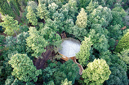 Les Cabanes dans les Bois