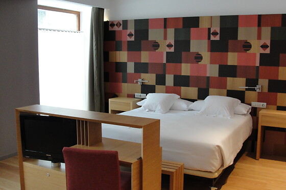 HOTEL RESORT BALNEARIO DE PANTICOSA - photo 28