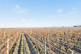 Château Trillon
