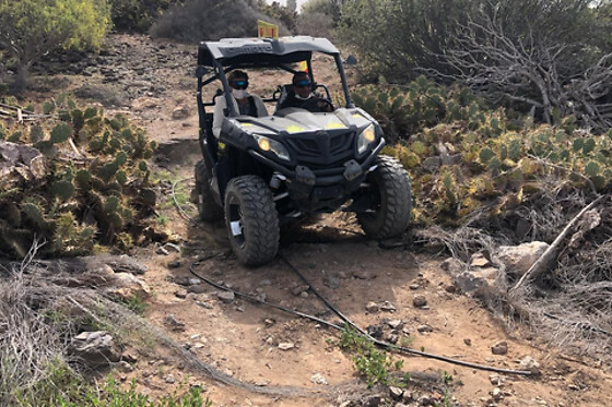 PARADISE BUGGY TENERIFE TOUR - photo 3