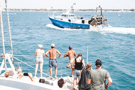 Catamaran Picardie II - photo 2