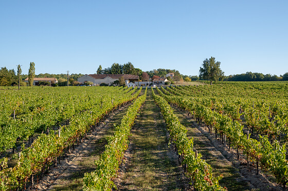 Visite du domaine - Domaine Grand Mayne - Villeneuve-de-Duras (47)
