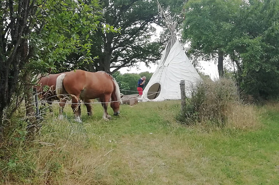 Les Calèches de l'isop - photo 3