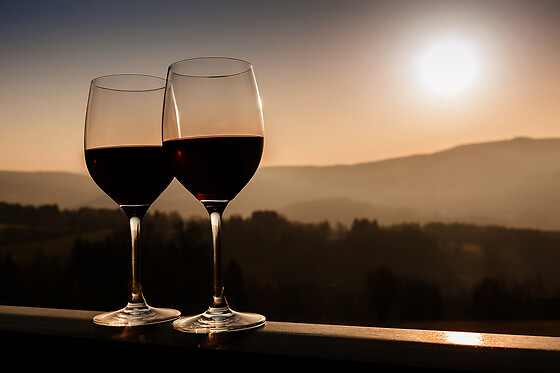Nature de Vin - photo 0