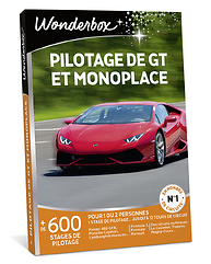 Pilotage de GT et monoplace