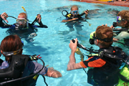 Sub Zone