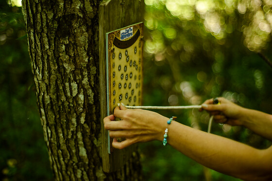 Ariège Loisirs - photo 7