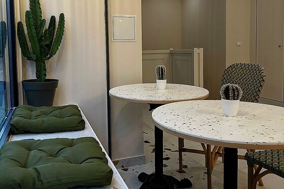 Cactus - photo 3