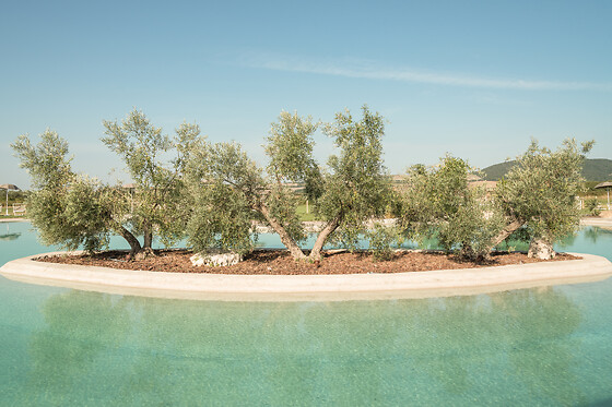 Terme di Vulci Glamping & SPA - photo 0