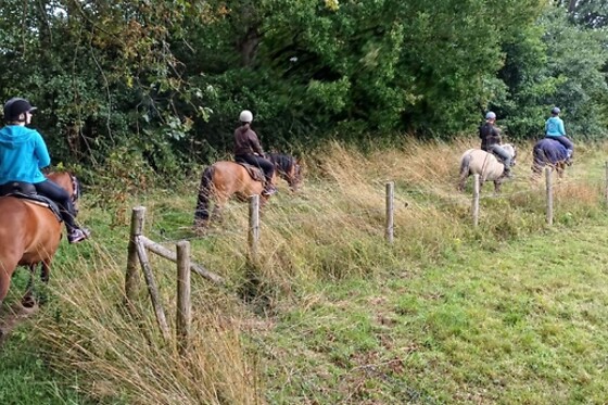 Equi Alliance - photo 2