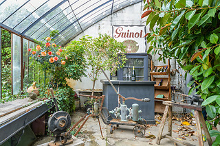 Visite d'un vignoble - Maison Guinot - Limoux (11)