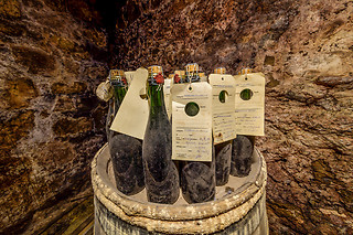 Visite d'un vignoble - Maison Guinot - Limoux (11)
