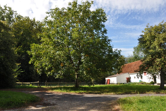 Noordweghe Glamping - photo 0