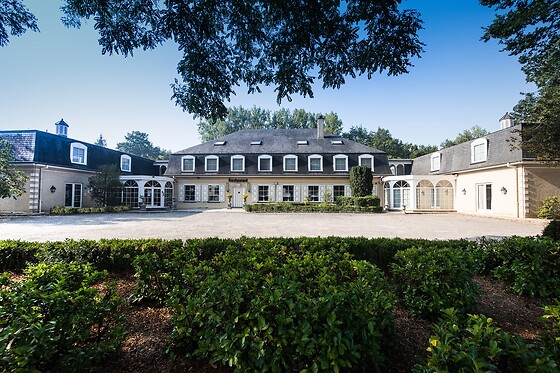 In den Bonten Os - photo 0