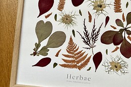 Herbae Atelier - Lyon