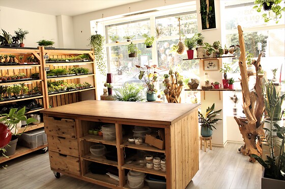 Boby la Plante - photo 1