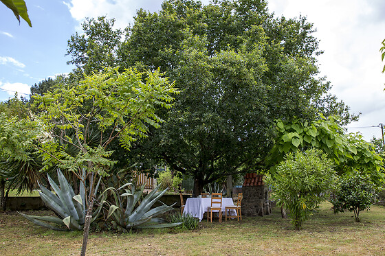 A CASIÑA - photo 3