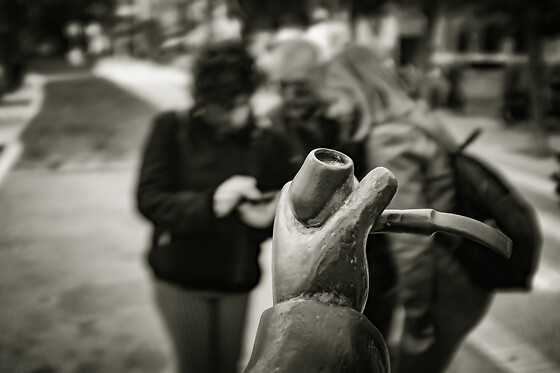 ESCAPE THE TOWN - photo 6
