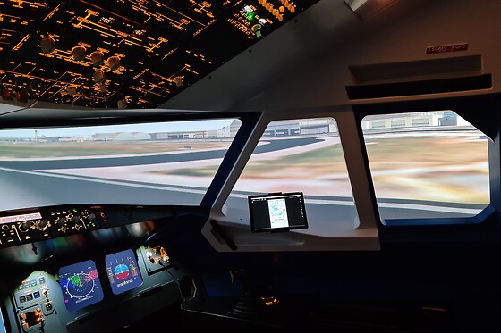 Zim Air Simulation - photo 9