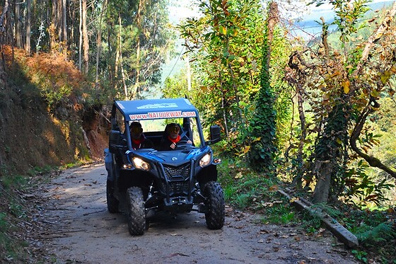 NaTour Way - photo 113