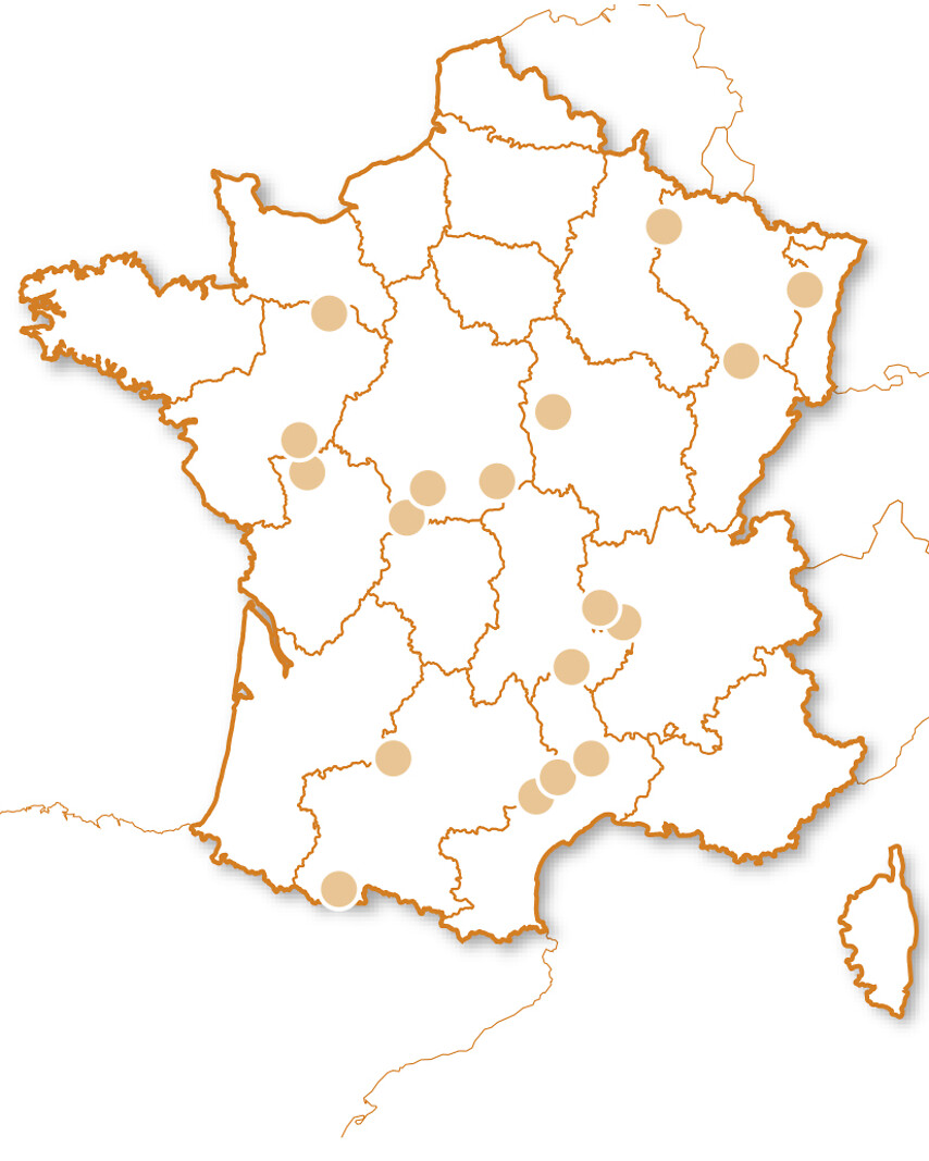 Saut à l'élastique
