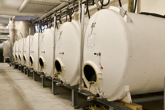 Langlois - photo 7