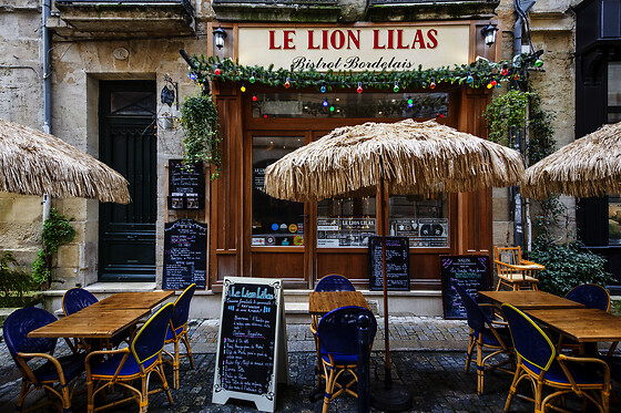 Le Lion Lilas - photo 13