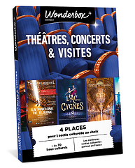 Théâtre, concerts & visites - Sortie culturelle pour 4 personnes