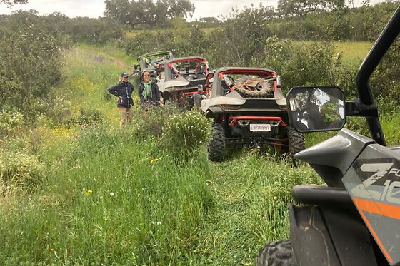 XTREMA BUGGY - CASA RURAL EL ÁGUILA - photo 3