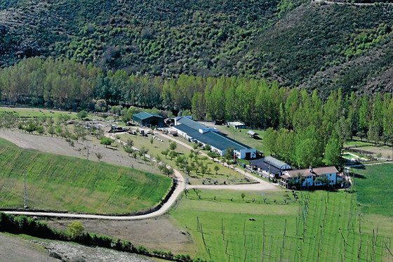 QUINTA DAS COVAS - photo 4