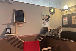 Cup Cats - Bar à Chats