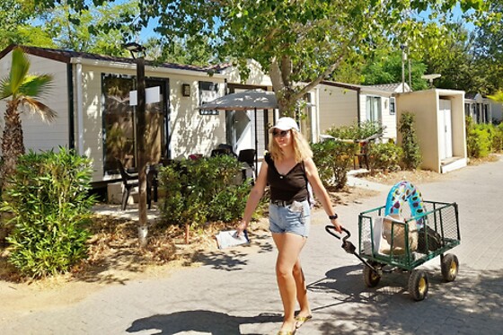 Domaine du Golfe de St Tropez *** - photo 7